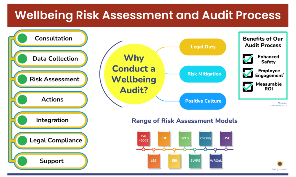Wellbeing Risk Assessment and Audit Process