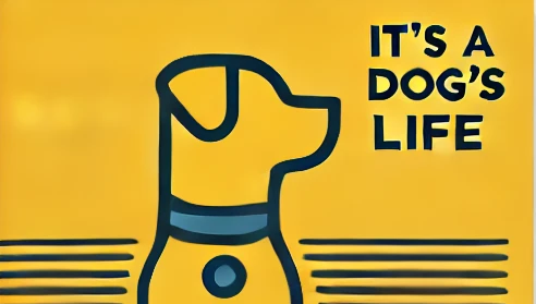 How Nellie and Elvis Help Me Find Joy in Stressful Times